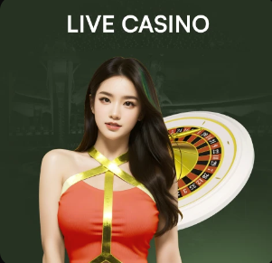 山呼海啸氛围不输五大联赛！大连英博上演震撼谢场